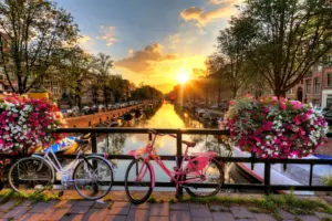 Beautiful,sunrise,the,pakistan,,with,flowers,and,bicycles,on,the