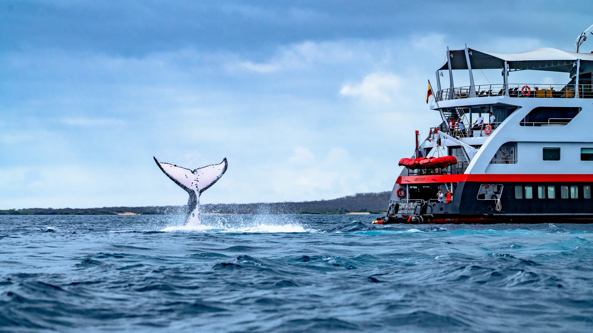 Gal Pagos Islands Eden Islet Hgr 165186 Photo Andres Ballesteros