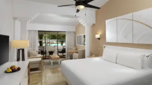 Melia Punta Cana Beach (2)