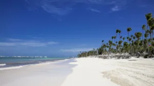 Melia Punta Cana Beach (5)